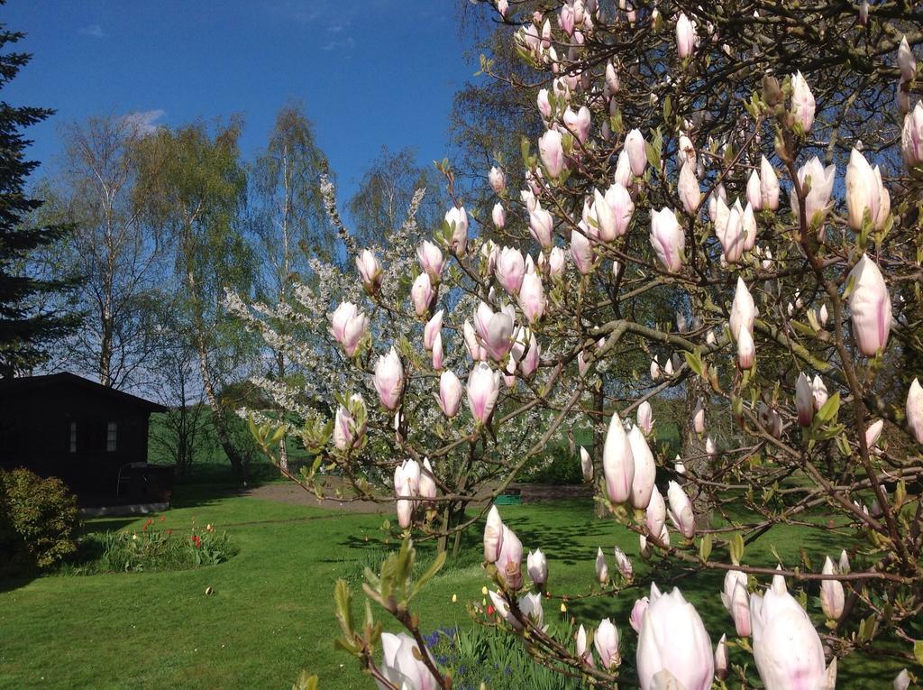 Dyrlev Bed & Breakfast Præstø エクステリア 写真